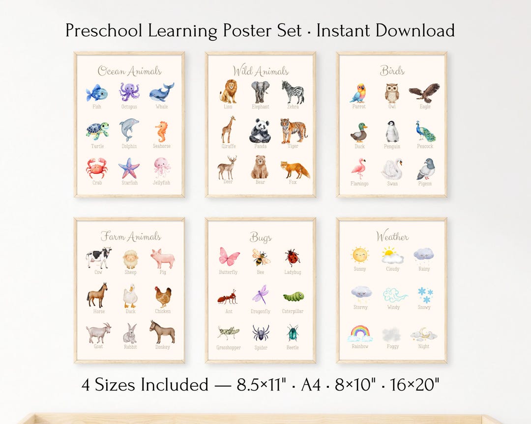 Printable animal and weather learning posters for a preschool display